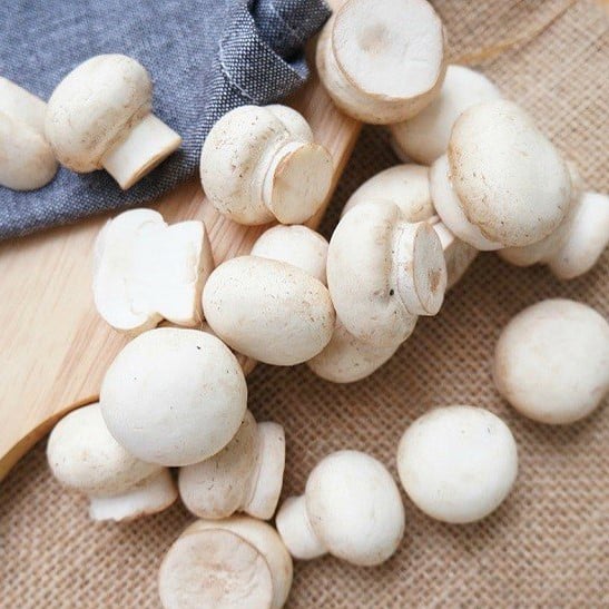Button mushroom – nam-mo-trang-yoshimoto