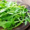 Xa lach rocket - Arugula