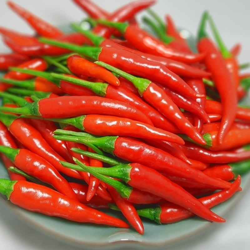 hot-pepper-ot