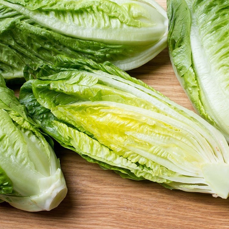 Xa Lach Romaine – Romaine lettuce