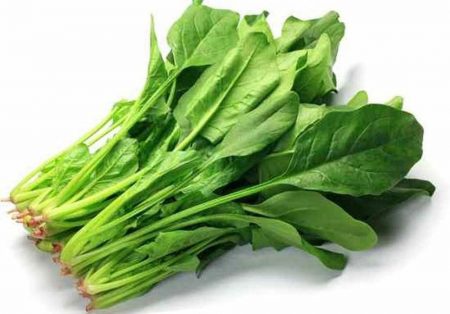 cải bó xôi - spinach