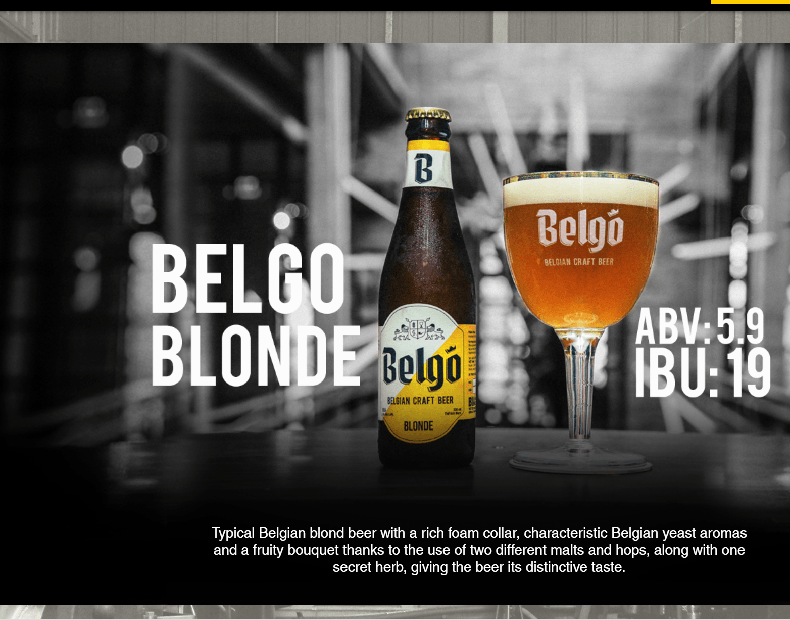 Belgo blond