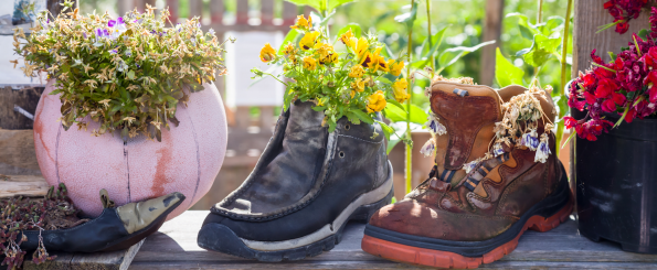 Upcycling santorino coffee & veggies