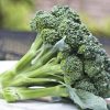 Bông cải xanh - Broccoli - Santorino.org