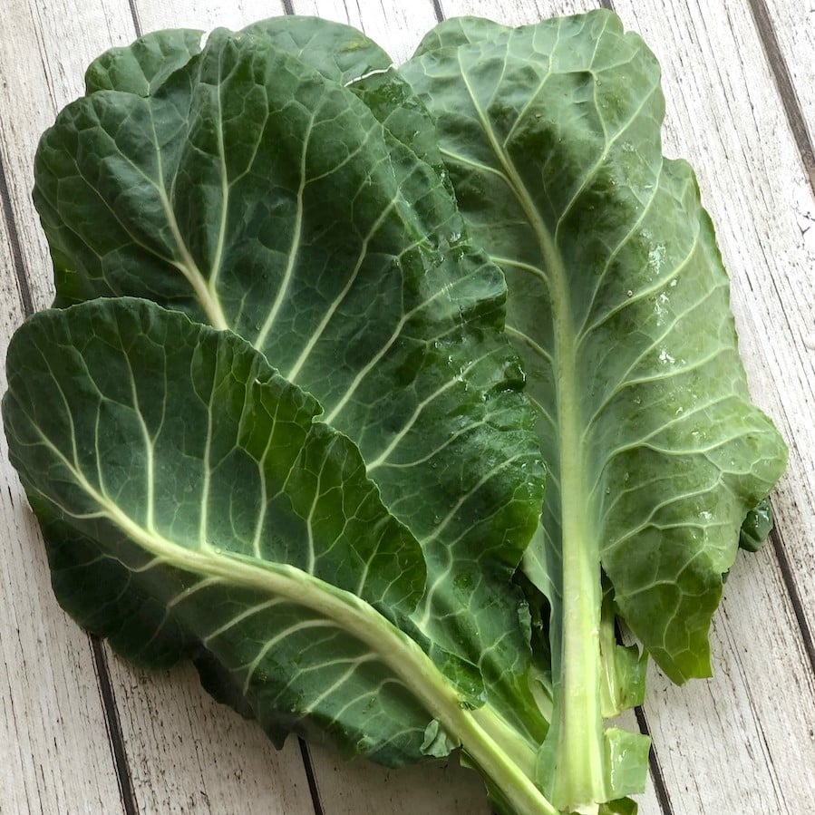 Cải rổ và 5 lợi ích tuyệt vời cho sức khỏe Santorino