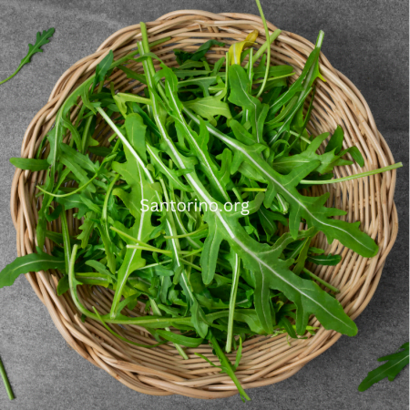 Arugula - Rau rocket hữu cơ tại Sài Gòn