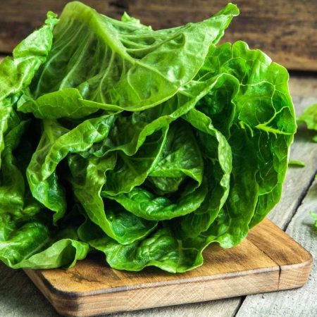 Xa Lach Romaine - Romaine lettuce - Santorino Veggie box