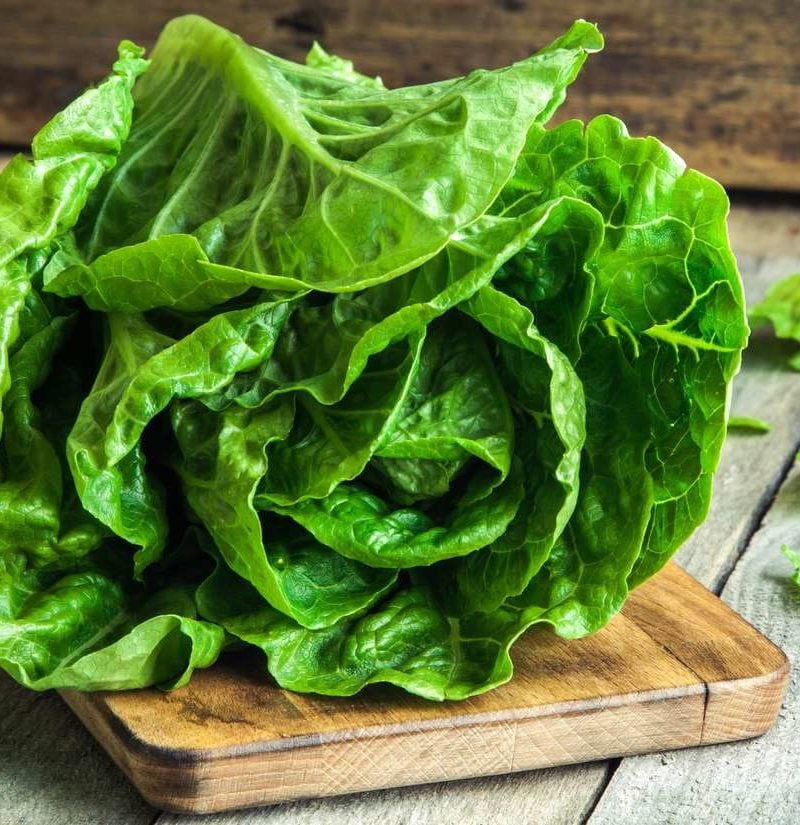 Xa Lach Romaine - Romaine lettuce - Santorino Veggie box