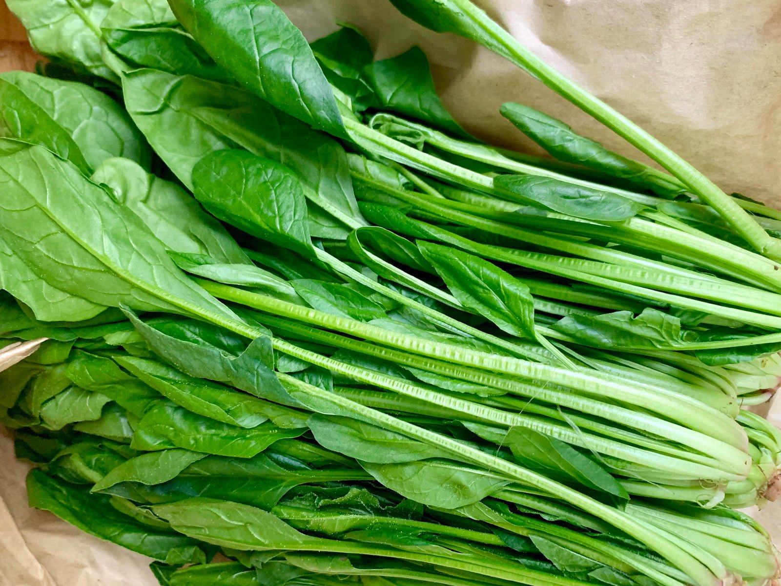 Cải bó xôi lá trung - Spinach (medium) 450g - Công dụng tuyệt vời -  Santorino
