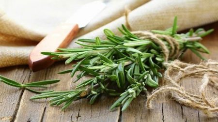 Rosemary santorino coffee & veggies
