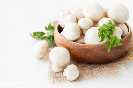5 công dụng tuyệt vời mà chỉ nấm mỡ trắng mới có - Santorino Coffee & Veggies 