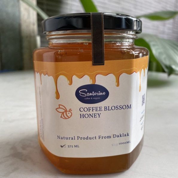 Mật ong hoa cà phê - Coffee blossom honey