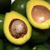 avocado bo booth
