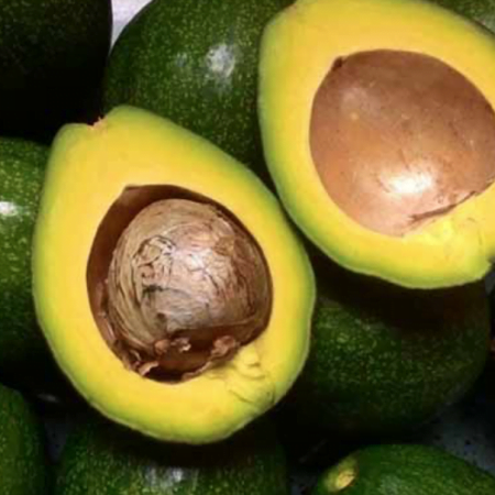 avocado bo booth