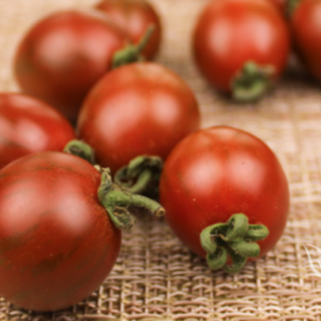 chocolate tomato