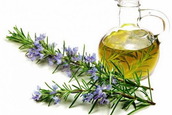 Rosemary - santorino.org