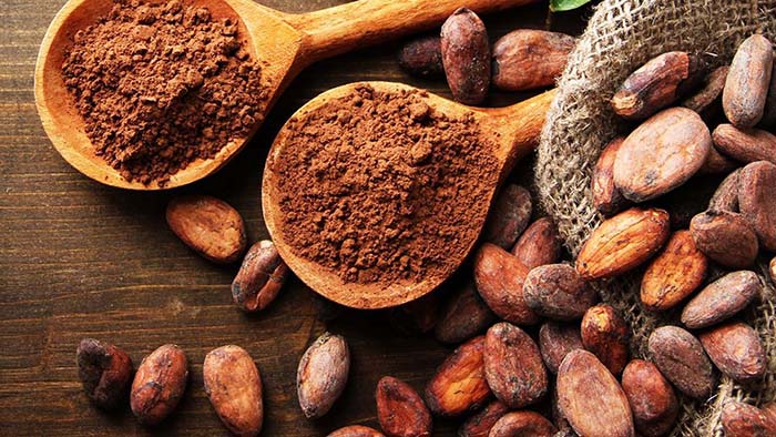 Bột cacao - santorino.org