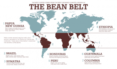 hạt cà phê - the bean belt