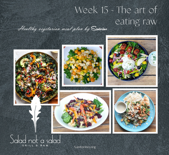 5 raw vegan salad meal - the art of eating raw by Santorino
