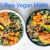Santorino 5 raw vegan meals