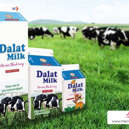 Sua tuoi thanh trung Dalat milk