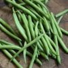 Dau-que-nhat-dau-cove-Phap-small-green-beans