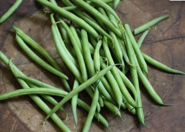 Dau-que-nhat-dau-cove-Phap-small-green-beans
