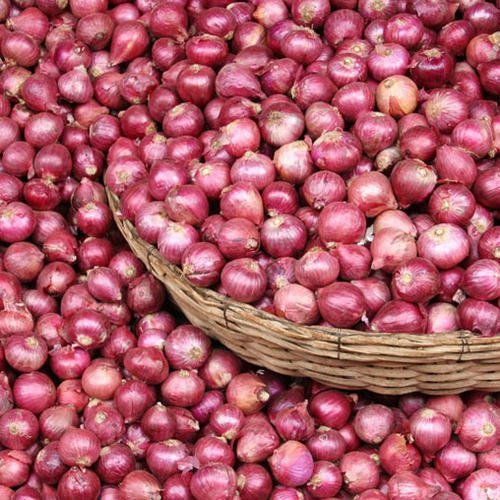 hanh tim – Small onion
