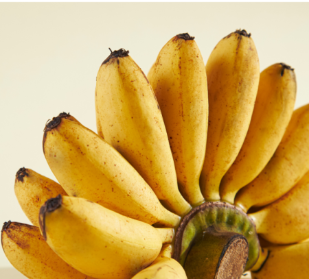 Chuối sứ chuối xiêm Vietnamese banana