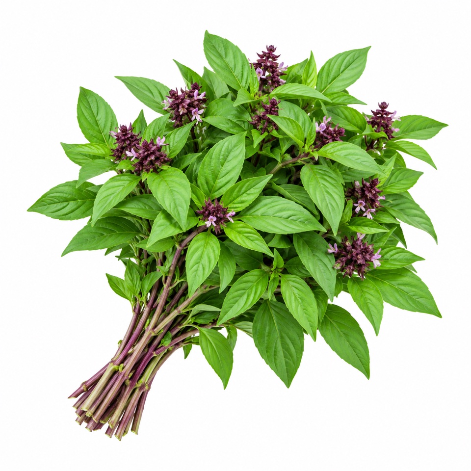 Thai basil 200g