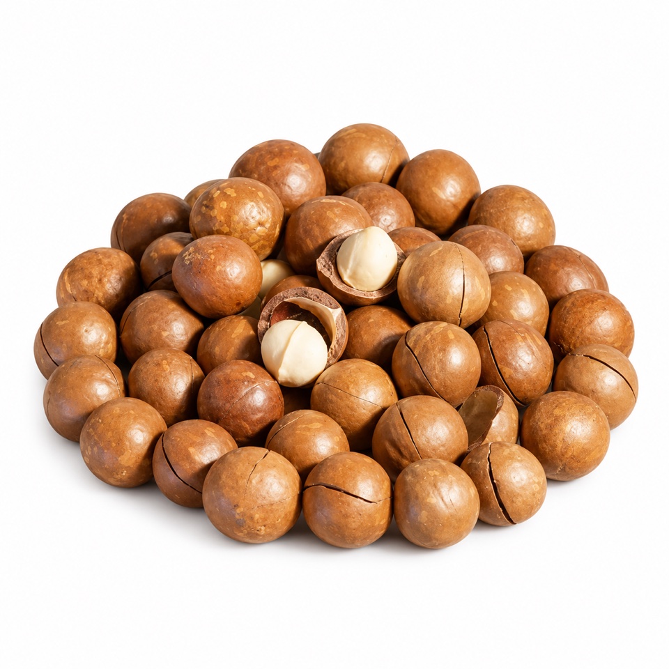 Premium Daklak macadamias in shell 500g